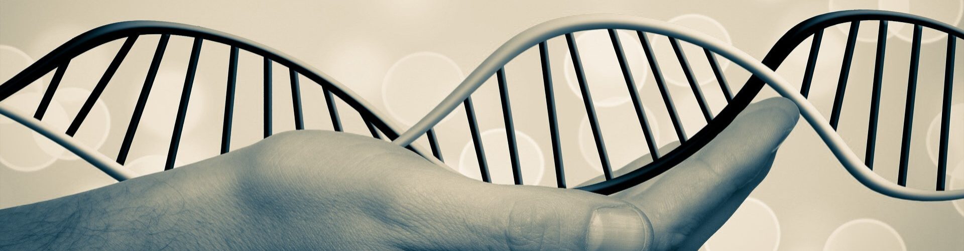 Découvrir Vos Origines : Les regroupements génétiques de 23andMe, Ancestry et MyHeritage